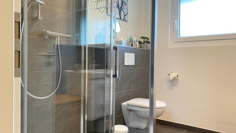A modern bathroom with a walk-in shower and a toilet. Large windows provide natural light.
