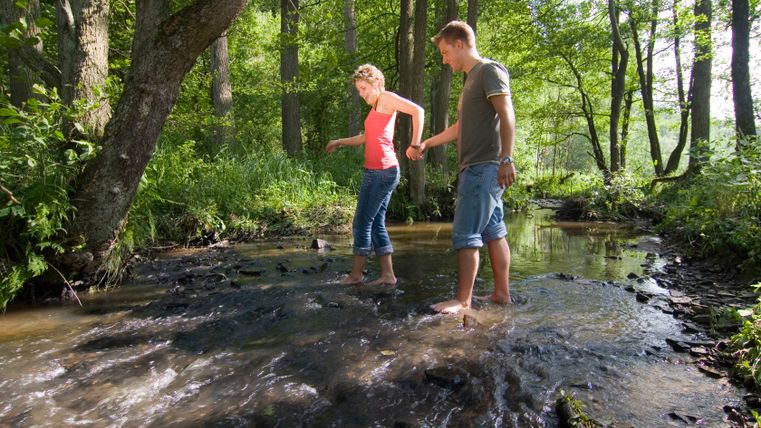Zwei Personen waten barfuß durch einen Bach in einem Wald.