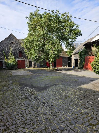 A courtyard with old buildings and a large tree in the middle. The area has gray stone slabs and some red doors.