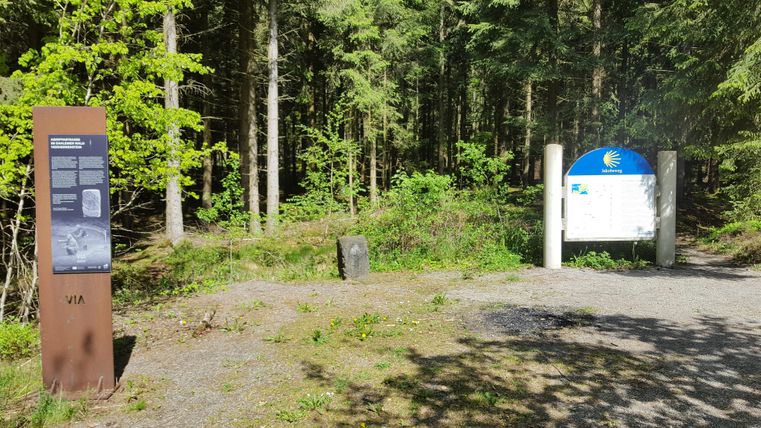 Forest path with information boards and a signpost for the Camino de Santiago. The boards are located at the edge of a wooded area, surrounded by trees and plants.