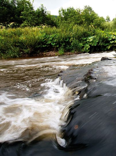 Rivier met een kleine waterval en weelderige vegetatie aan de oevers.
