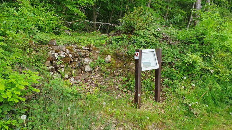 Eine kleine Informationstafel vor einer niedrigen Steinmauer Dahinter bewaldete Fläche