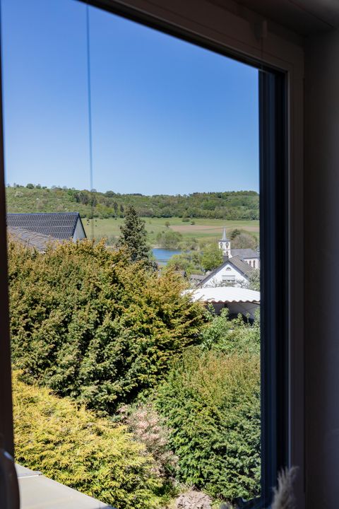 View from a window overlooking a green landscape with trees and a small lake. In the foreground, bushes and houses are visible.