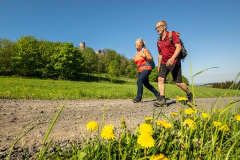 Twee wandelaars lopen op een pad door een groene landschap. Op de voorgrond bloeien gele paardenbloemen.