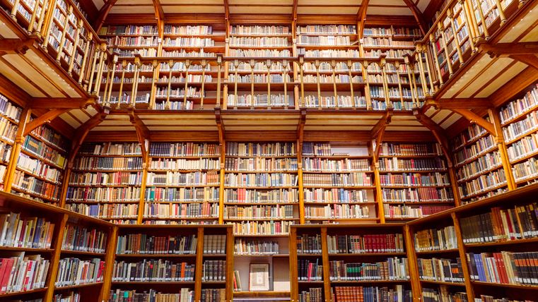 Een indrukwekkende bibliotheek met hoge kasten, die vol met boeken staan. Het heldere licht stroomt door een groot raam in het midden van de kamer.