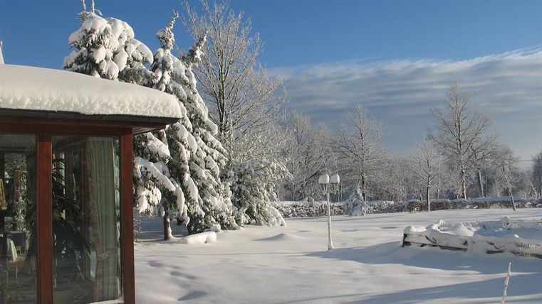 Un paysage d'hiver enneigé avec des arbres couverts d'épais manteaux de neige. Le ciel est clair et bleu, et il y a une atmosphère calme et paisible.