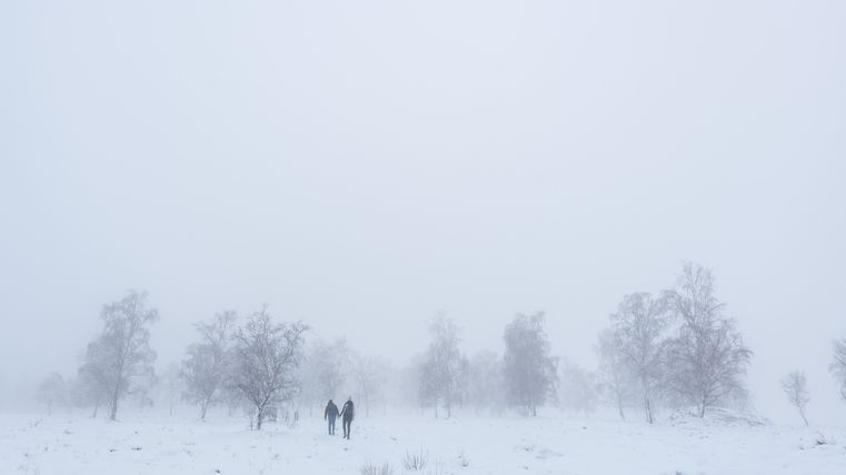 Deux personnes marchent dans un paysage enneigé et brumeux avec des arbres dénudés.