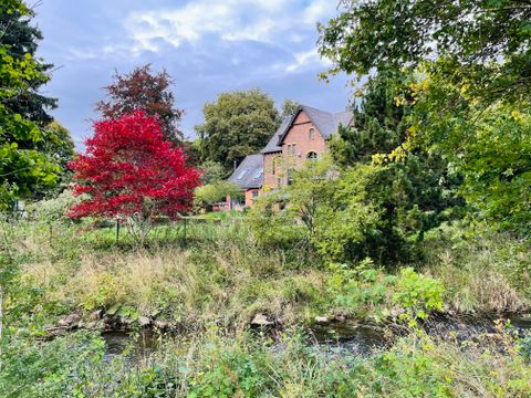 A quiet house by the bank of a small river, surrounded by green trees and colorful autumn leaves. A red tree stands out particularly.