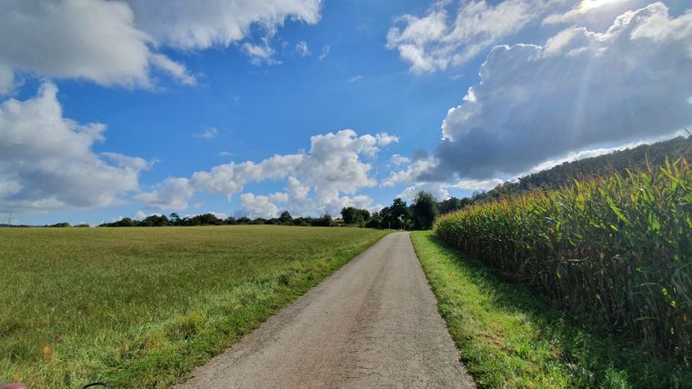 Route rurale entre des champs sous un ciel bleu avec des nuages.