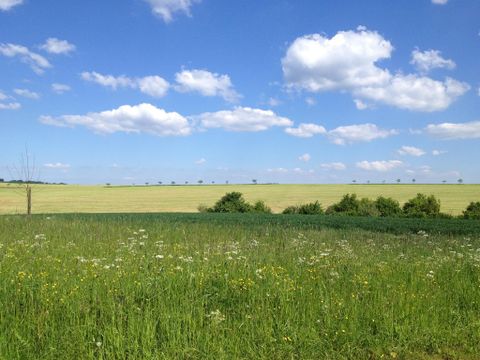 Een weide met kleurrijke bloemen en groen gras. De lucht is blauw met witte wolken en een prachtig uitzicht op velden.
