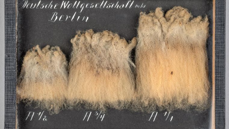 Een verzameling van wolpatronen in verschillende maten. De patronen zijn op een zwarte achtergrond gerangschikt en tonen verschillende kleurnuances.