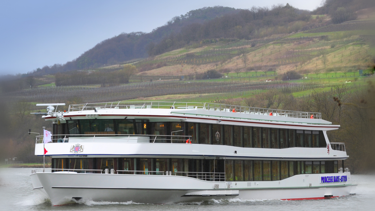 Garnelen in einer Pfanne, goldbraun und knusprig zubereitet. Das Gericht sieht appetitlich und köstlich aus.
