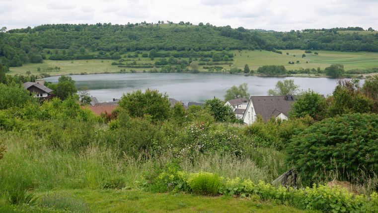 Een pittoresk landschap met een meer, omgeven door heuvels en bomen. Op de voorgrond bevinden zich groene weilanden en enkele huizen.