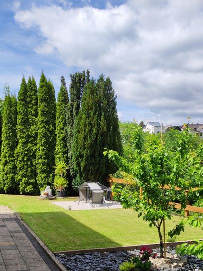 A beautiful garden with tall cypress trees and a sunny sky. In the foreground, there is a small area with gravel and a blooming plant.