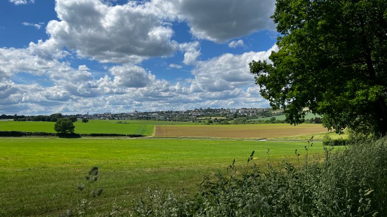 Landschaft mit grünen Feldern, Bäumen und bewölktem Himmel.