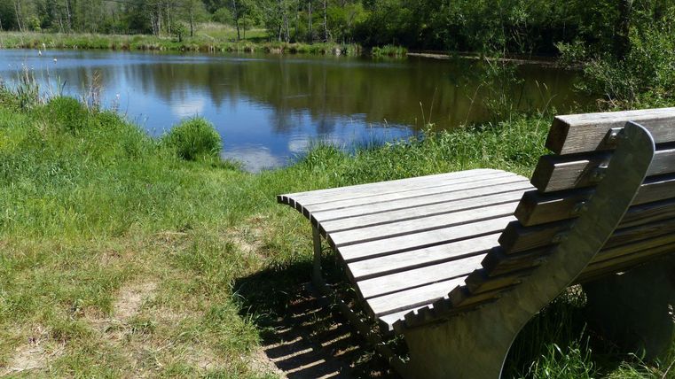 A modern bank stands on the shore of a tranquil pond. Surrounded by green meadows and trees, the scene radiates tranquility and a connection to nature.