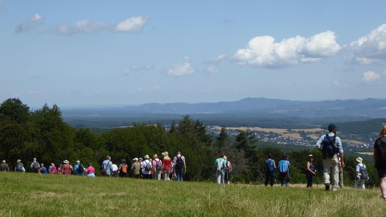 Een groep wandelaars op een veld met uitzicht op een pittoresk landschap. De lucht is helder en de natuur is groen en uitnodigend.