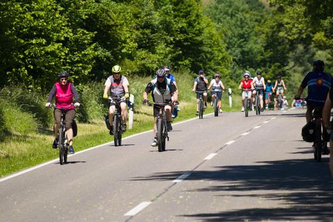 A group of cyclists is riding on a country road. The surroundings are green and surrounded by trees.