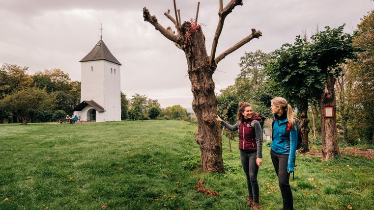 Two women are standing on a meadow in front of a white tower surrounded by trees.