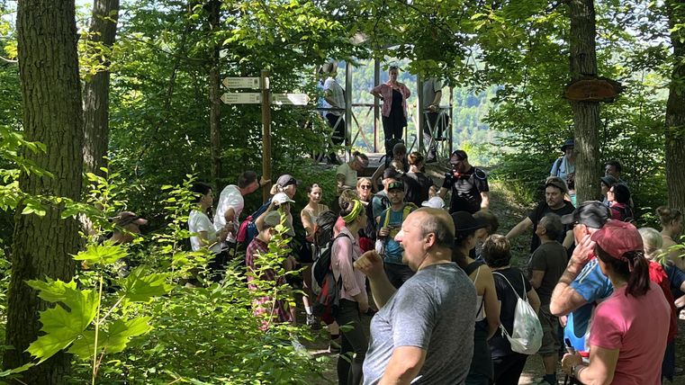 Un groupe de personnes se tient dans la forêt, entouré d'arbres et de végétation verte. Il semble s'agir d'un événement ou d'une visite se déroulant dans la nature.