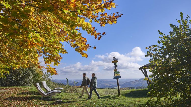 Two people are walking on a hiking trail in a picturesque landscape. The trees display vibrant autumn colors and gentle hills can be seen in the background.