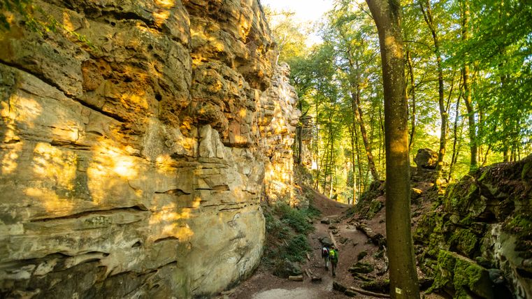 Wandelaars in de Devil's Gorge met steile rode zandstenen kliffen en bomen.