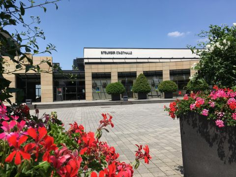 A modern building with large windows and a clear blue sky. In the foreground, blooming flowers in various colors.