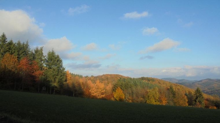 Een pittoresk landschap in de herfst met kleurrijke bomen en een heldere blauwe lucht. De glooiende heuvels op de achtergrond maken het beeld compleet.