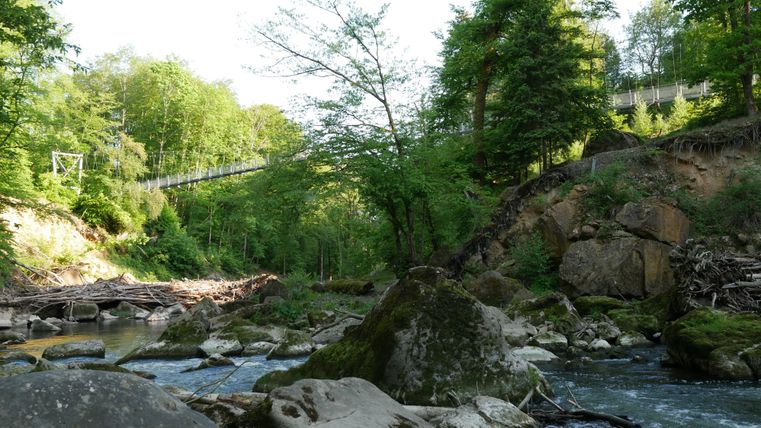 Blick vom Ufer der Prüm unterhalb der früheren Holzbrücke auf die Hängebrücke, die die Stromschnellen überspannt.