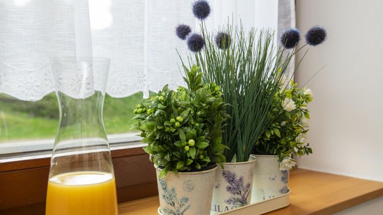 Een decoratieve vensterbank met verschillende planten in potten. Naast de planten staat een karaf met sinaasappelsap.