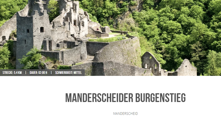 Eine alte Burgruine erhebt sich auf einem grünen Hügel. Umgeben von dichten Bäumen und einer malerischen Landschaft.