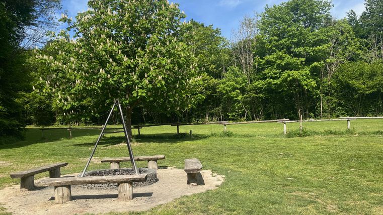 Un parc tranquille avec un foyer en bois et des bancs. Entouré d'arbres et de gazon vert.
