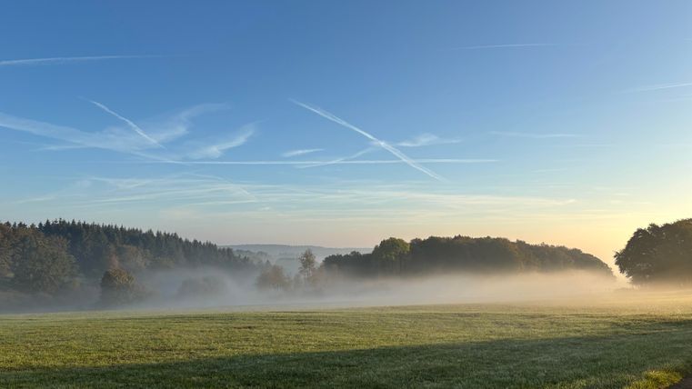 A picturesque landscape with misty grass and a clear blue sky. Trees surround the scene in the background.