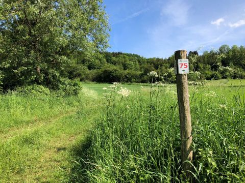 Wegweiser mit der Nummer 75 im Naturpark Südeifel auf einer grünen Wiese.