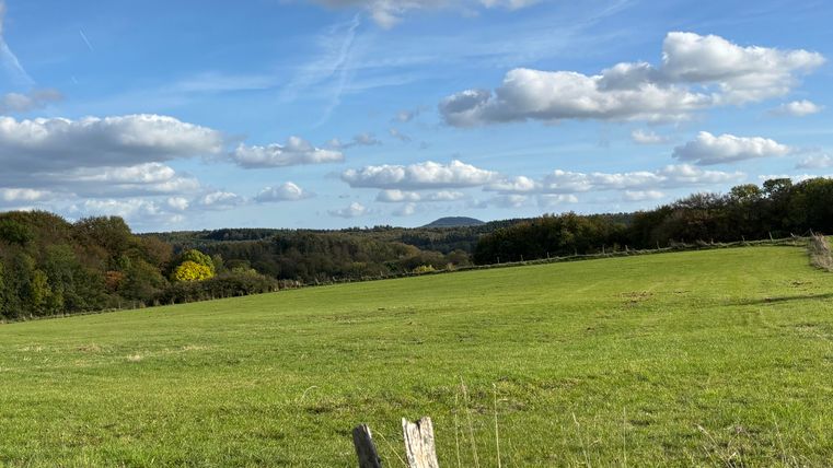 A vast green meadow under a blue sky with white clouds. In the background, gentle hills and trees can be seen.