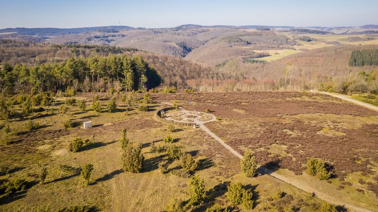 Luftaufnahme einer Wacholderheide im Sommer