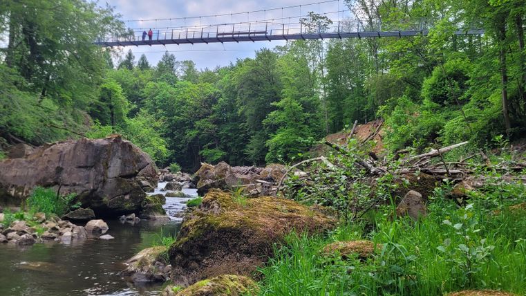 Eine ruhige Landschaft mit einem kleinen Fluss und vielen grünen Bäumen. Eine Hängebrücke spannt sich über den Fluss und verleiht dem Bild eine besondere Note.