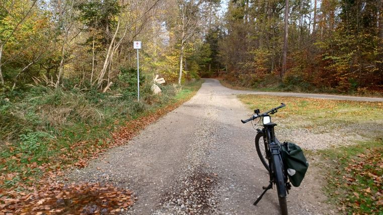 Un vélo est posé sur un chemin forestier, entouré d'arbres automnaux et de feuilles mortes.
