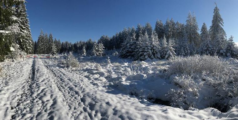 A snow-covered landscape with fir trees and a clear blue sky. The path is visible and leads through the winter scenery.