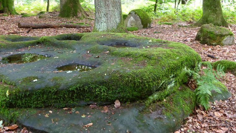 Creux rocheux recouverts de mousse dans la forêt près de Bollendorf.