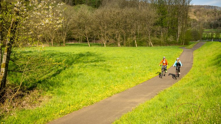 Deux cyclistes sur un chemin traversant une prairie verte avec des arbres en arrière-plan.