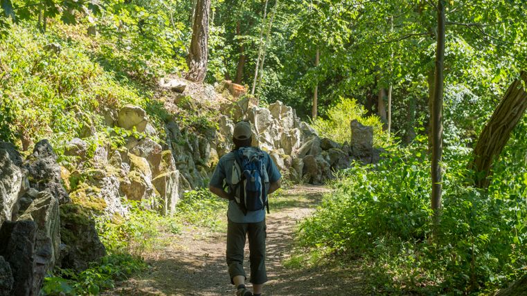 Persoon wandelt op een bospad met een rugzak.