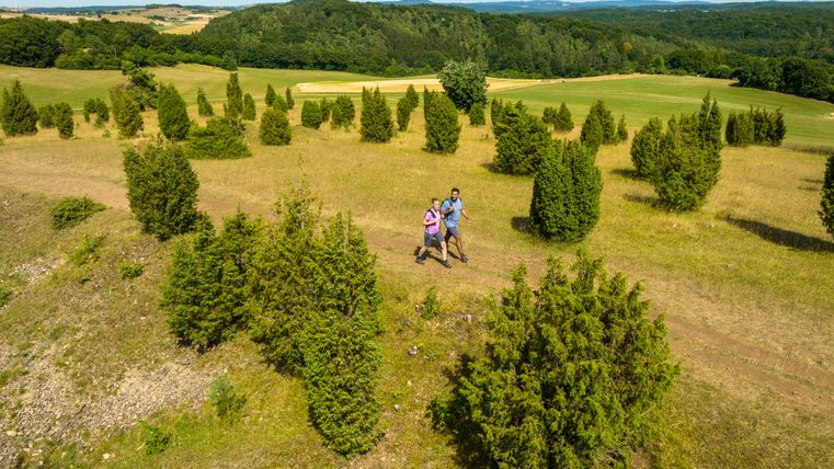 Zwei Wanderer auf einem Pfad in einer hügeligen Landschaft mit Wacholderbüschen.