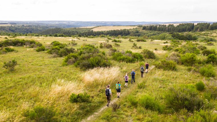 A group of hikers is walking on a path through the green landscape. In the background, gentle hills and trees can be seen.