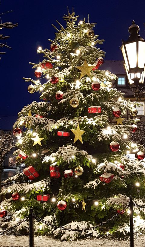 A festively decorated Christmas tree with red baubles, golden stars, and gifts. The tree is covered in snow and illuminated by warm light.