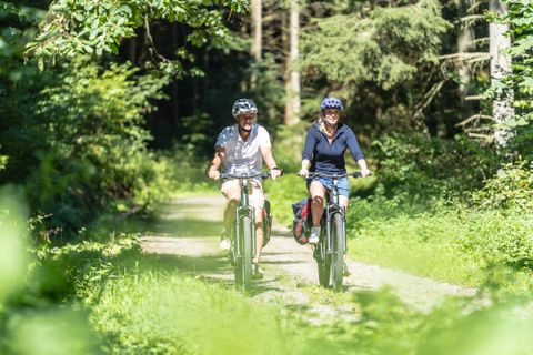 Zwei Radfahrerinnen fahren auf einem schmalen Weg durch einen grünen Wald. Die Sonne scheint und es ist eine freundliche, entspannte Atmosphäre.
