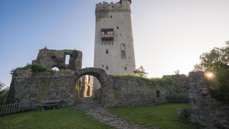 Een oude burchtruïne met een hoge toren staat onder een heldere lucht. De omgeving is groen en uitnodigend.