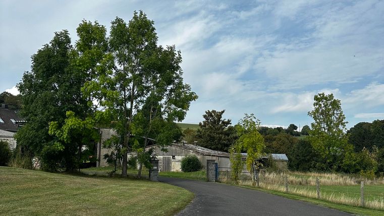 Een landelijke weg met weilanden en bomen. Op de achtergrond is een gebouw zichtbaar en de lucht is gedeeltelijk bewolkt.