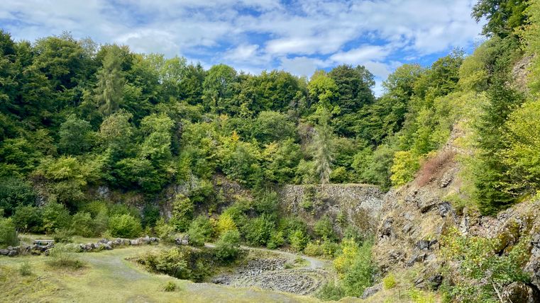 View into a green quarry with trees and rocks.
