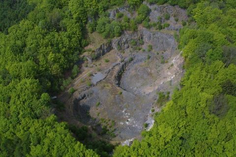 Blick von oben in den Krater des Arensberg, welcher von Wald umgeben ist.